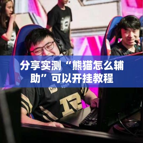 分享实测“熊猫怎么辅助”可以开挂教程
