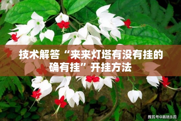 技术解答“来来灯塔有没有挂的确有挂	”开挂方法