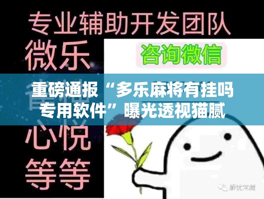 重磅通报“多乐麻将有挂吗专用软件”曝光透视猫腻