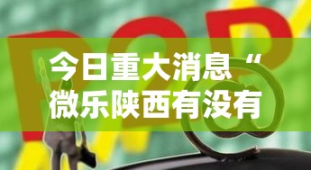 今日重大消息“微乐陕西有没有辅助	”太坑了真的有挂