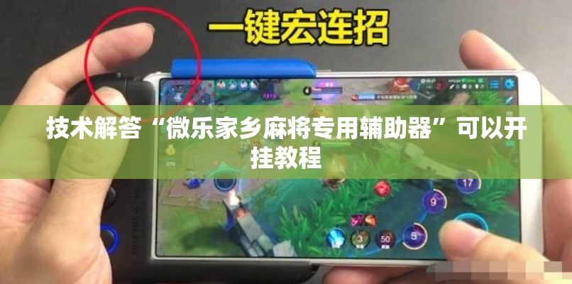 技术解答“微乐家乡麻将专用辅助器”可以开挂教程