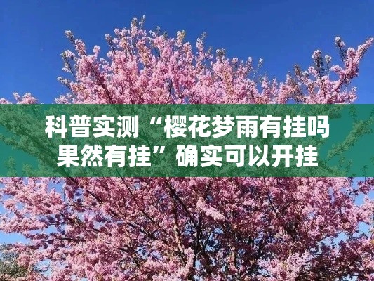 科普实测“樱花梦雨有挂吗果然有挂	”确实可以开挂