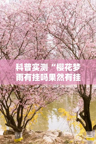 科普实测“樱花梦雨有挂吗果然有挂”确实可以开挂