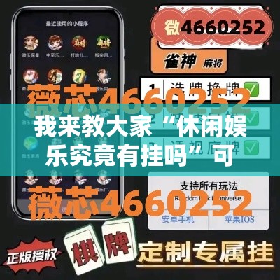 我来教大家“休闲娱乐究竟有挂吗”可以辅助