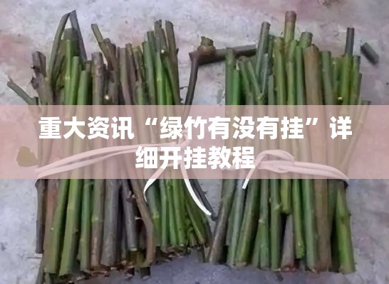 重大资讯“绿竹有没有挂”详细开挂教程