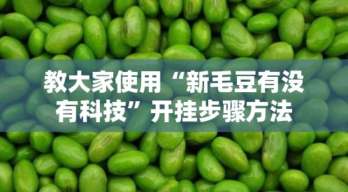 教大家使用“新毛豆有没有科技”开挂步骤方法