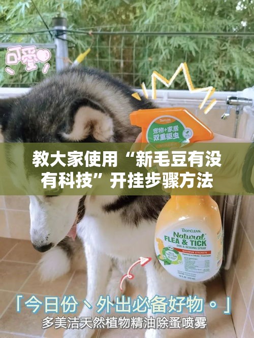 教大家使用“新毛豆有没有科技”开挂步骤方法