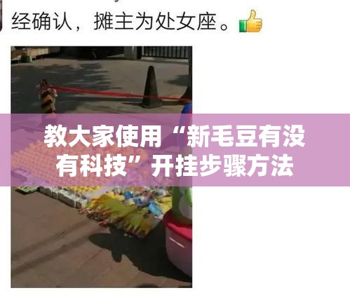教大家使用“新毛豆有没有科技”开挂步骤方法