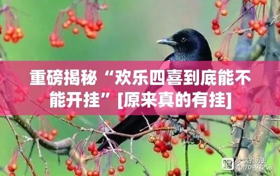 重磅揭秘“欢乐四喜到底能不能开挂	”[原来真的有挂]