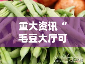 重大资讯“毛豆大厅可以开挂吗”详细开挂步骤