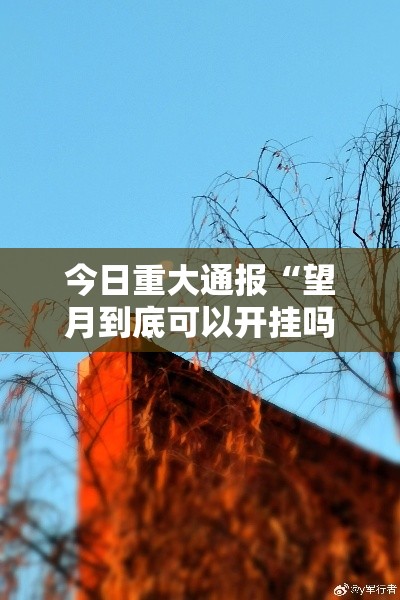 今日重大通报“望月到底可以开挂吗	”2026用挂