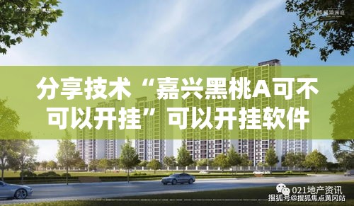 分享技术“嘉兴黑桃A可不可以开挂”可以开挂软件