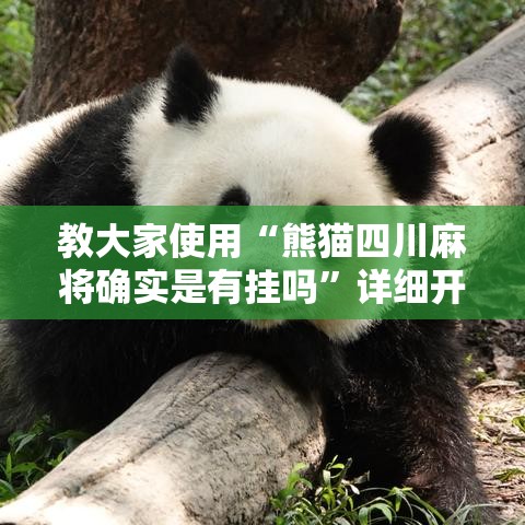 教大家使用“熊猫四川麻将确实是有挂吗”详细开挂教程