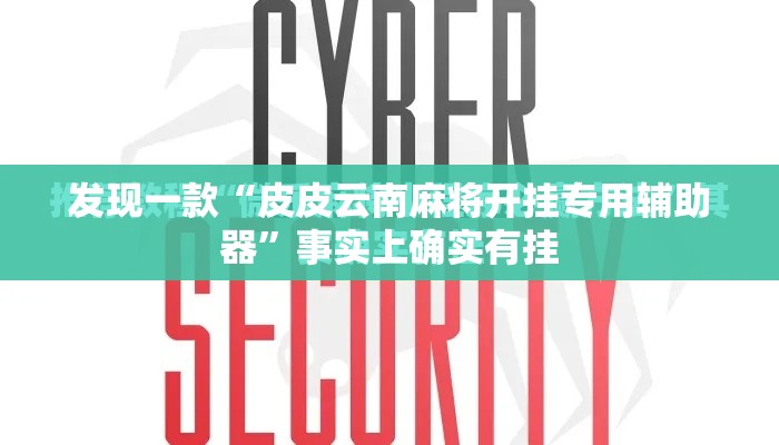 发现一款“皮皮云南麻将开挂专用辅助器”事实上确实有挂