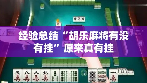 经验总结“胡乐麻将有没有挂	”原来真有挂