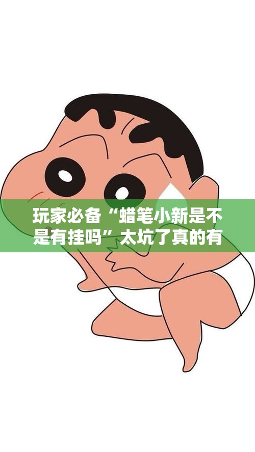 玩家必备“蜡笔小新是不是有挂吗”太坑了真的有挂