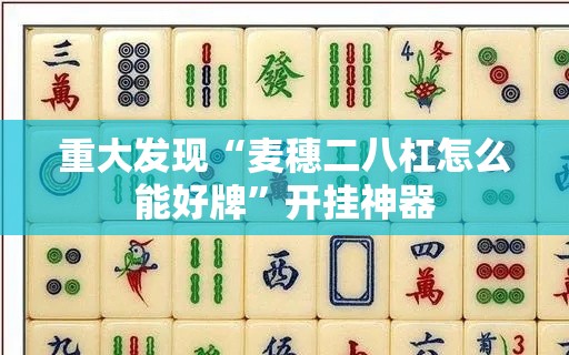 重大发现“麦穗二八杠怎么能好牌”开挂神器