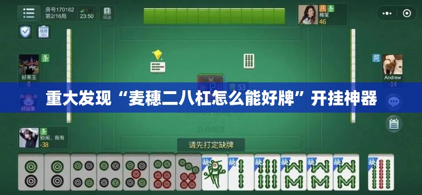 重大发现“麦穗二八杠怎么能好牌”开挂神器