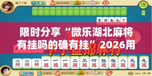 限时分享“微乐湖北麻将有挂吗的确有挂	”2026用挂