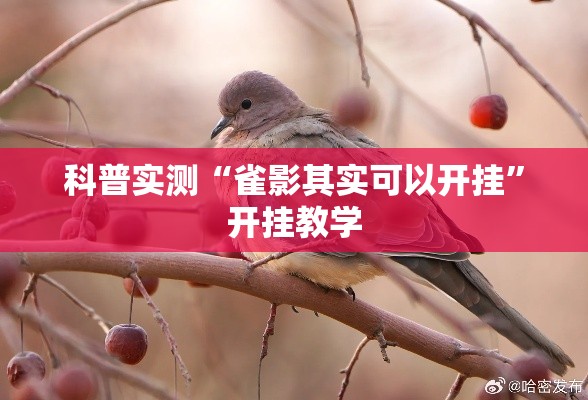 科普实测“雀影其实可以开挂”开挂教学