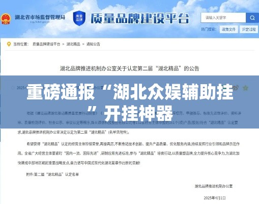 重磅通报“湖北众娱辅助挂	”开挂神器