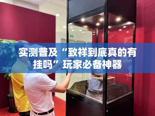 实测普及“致祥到底真的有挂吗”玩家必备神器