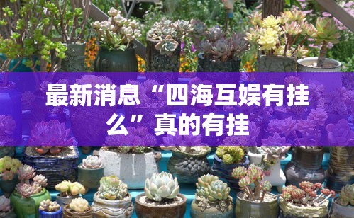 最新消息“四海互娱有挂么”真的有挂