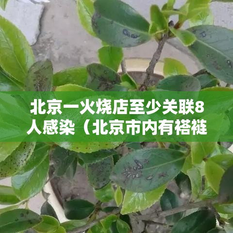 北京一火烧店至少关联8人感染(北京市内有褡裢火烧的歺馆) 北京一火烧店至少关联8人感染(北京市内有褡裢火烧的歺馆)