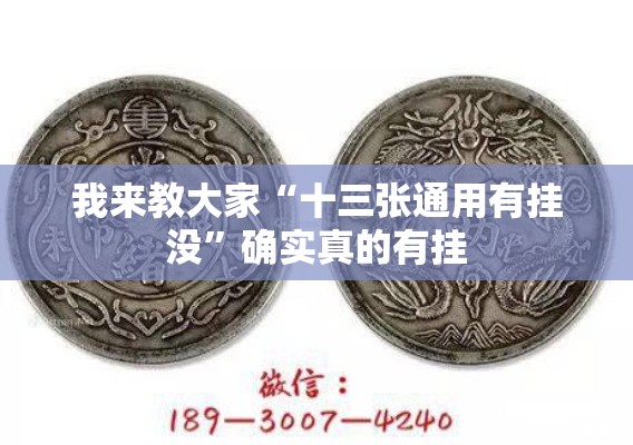 我来教大家“十三张通用有挂没”确实真的有挂