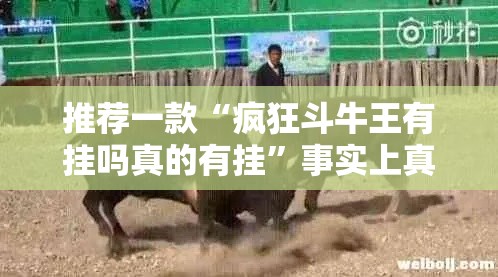 推荐一款“疯狂斗牛王有挂吗真的有挂”事实上真的有挂