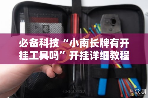 必备科技“小南长牌有开挂工具吗	”开挂详细教程