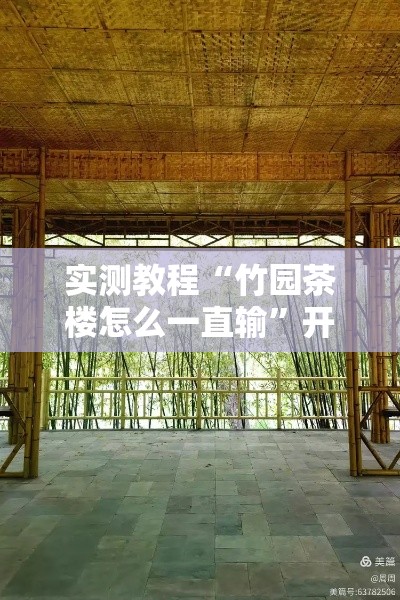实测教程“竹园茶楼怎么一直输”开挂辅助透视教程