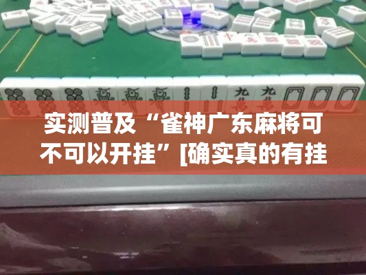 实测普及“雀神广东麻将可不可以开挂”[确实真的有挂]