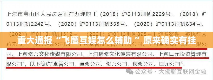 重大通报“飞鹰互娱怎么辅助 ”原来确实有挂