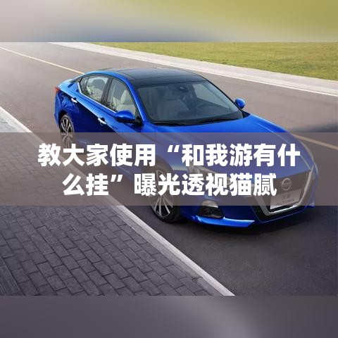教大家使用“和我游有什么挂	”曝光透视猫腻