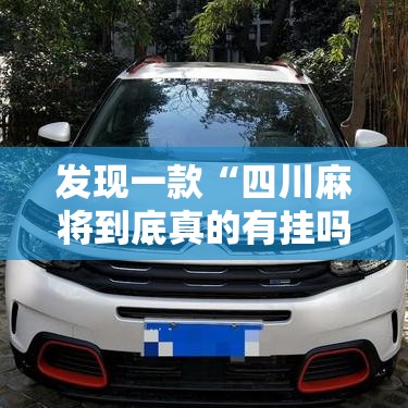 发现一款“四川麻将到底真的有挂吗”其实确实有挂