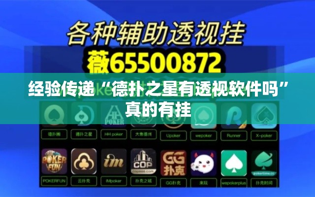 经验传递“德扑之星有透视软件吗”真的有挂