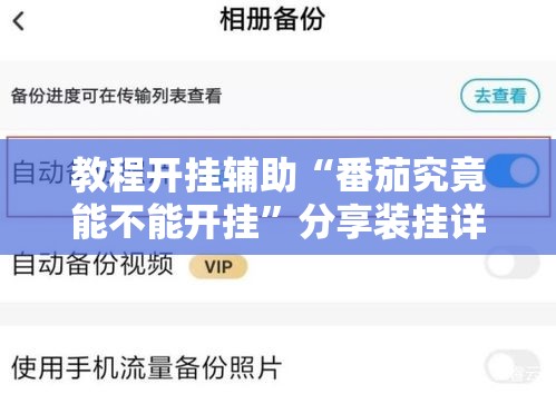 教程开挂辅助“番茄究竟能不能开挂”分享装挂详细步骤