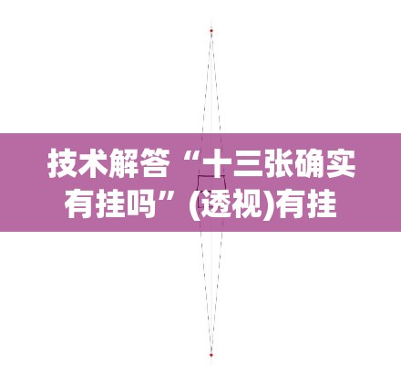 技术解答“十三张确实有挂吗”(透视)有挂