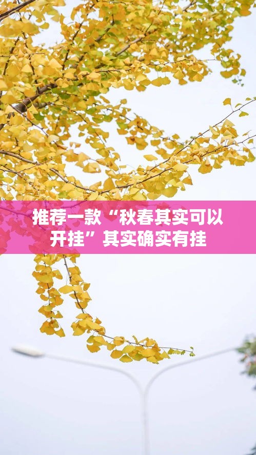 推荐一款“秋春其实可以开挂	”其实确实有挂