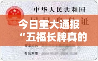 今日重大通报“五福长牌真的有挂吗”详细开挂玩法