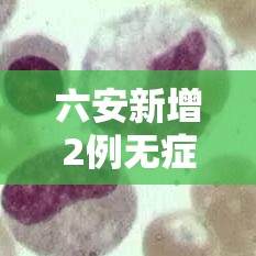 六安新增2例无症状/安徽六安新增1例无症状感染者轨迹 六安新增2例无症状/安徽六安新增1例无症状感染者轨迹