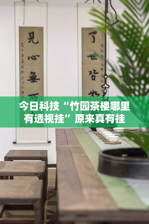 今日科技“竹园茶楼哪里有透视挂	”原来真有挂