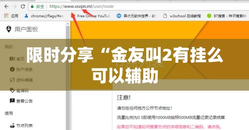 限时分享“金友叫2有挂么可以辅助