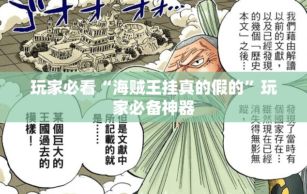 玩家必看“海贼王挂真的假的	”玩家必备神器