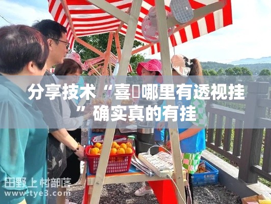 分享技术“喜園哪里有透视挂”确实真的有挂