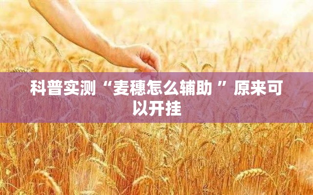 科普实测“麦穗怎么辅助 ”原来可以开挂