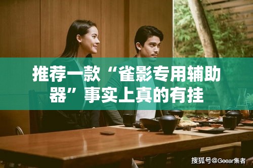 推荐一款“雀影专用辅助器”事实上真的有挂