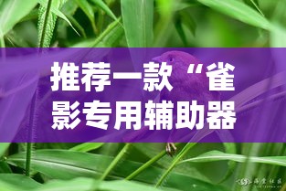 推荐一款“雀影专用辅助器”事实上真的有挂