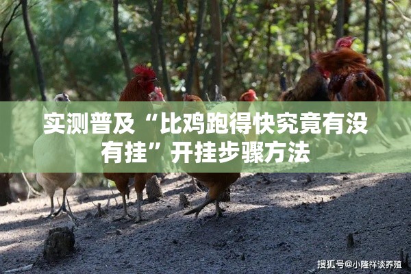 实测普及“比鸡跑得快究竟有没有挂”开挂步骤方法